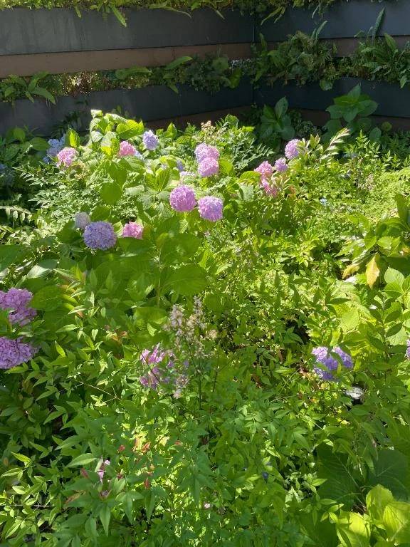 お礼🌸