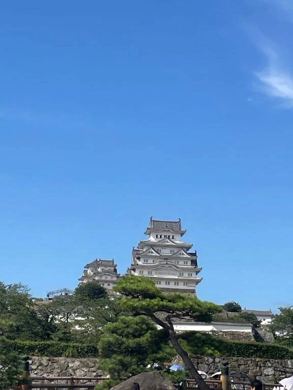 お礼🌸