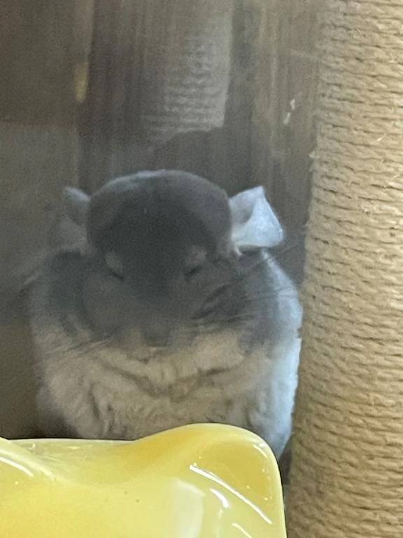 初めまして💕