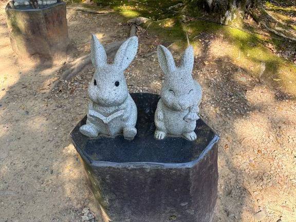 おはようございます