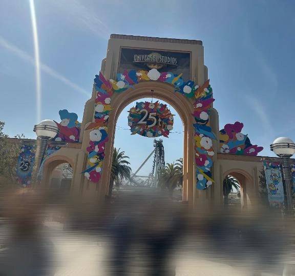 今日から(❁∩´ω`)⊃━☆゜.*・。