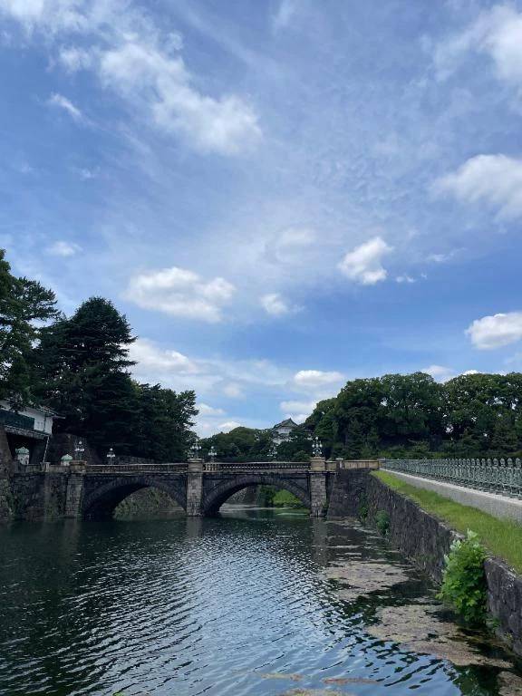 お礼🌸