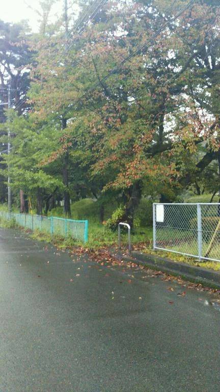 この時期～