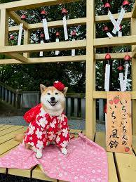 本日も宜しくお願い致します