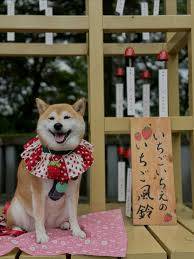 本日も宜しくお願い致します