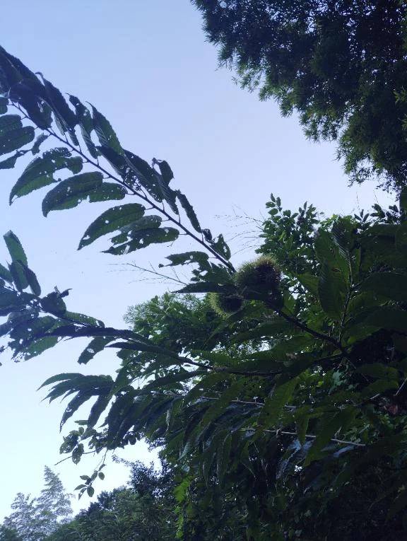 おはようございます😊