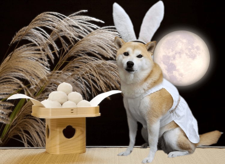 中秋の名月