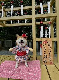 本日も宜しくお願い致します