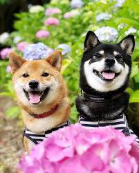 初めましてのＯ様に感謝～です