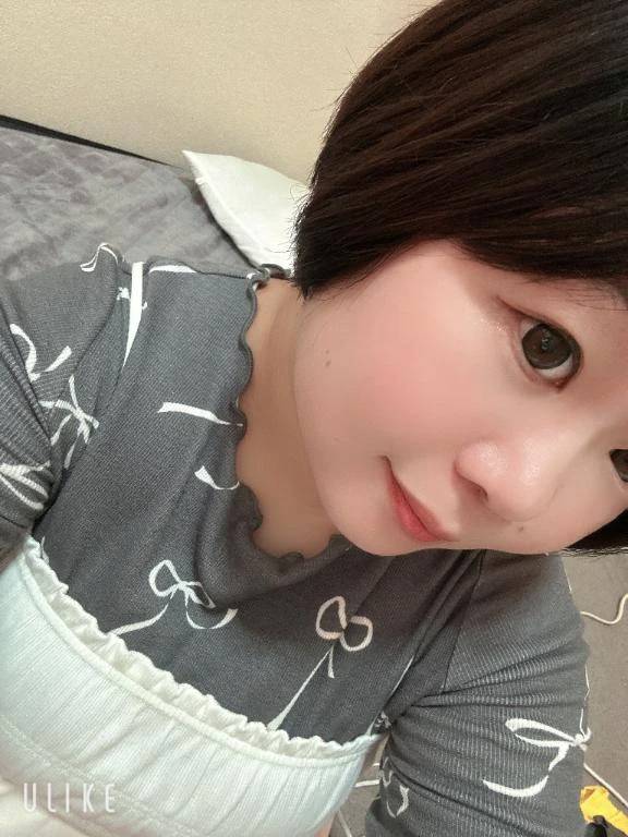 Bambi Series Almond(アーモンド)