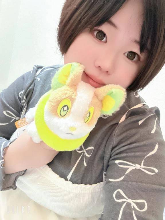 この子だよ🐶💛