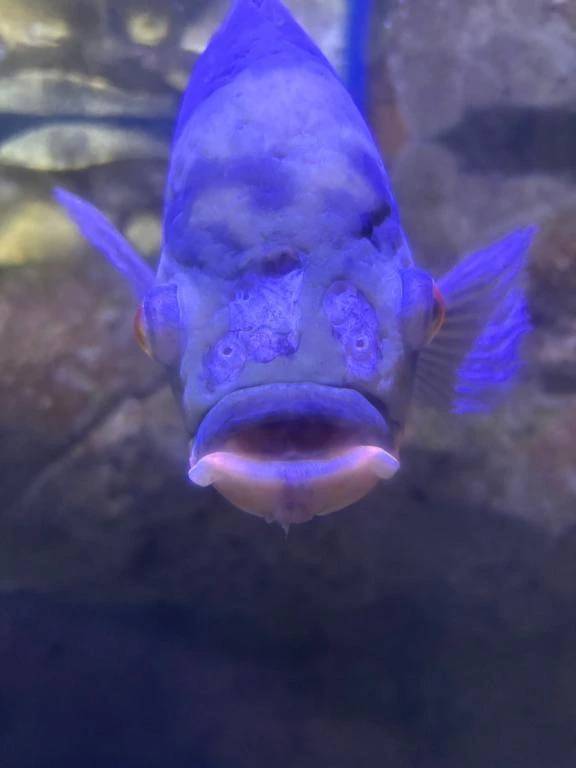 はじめまして✨