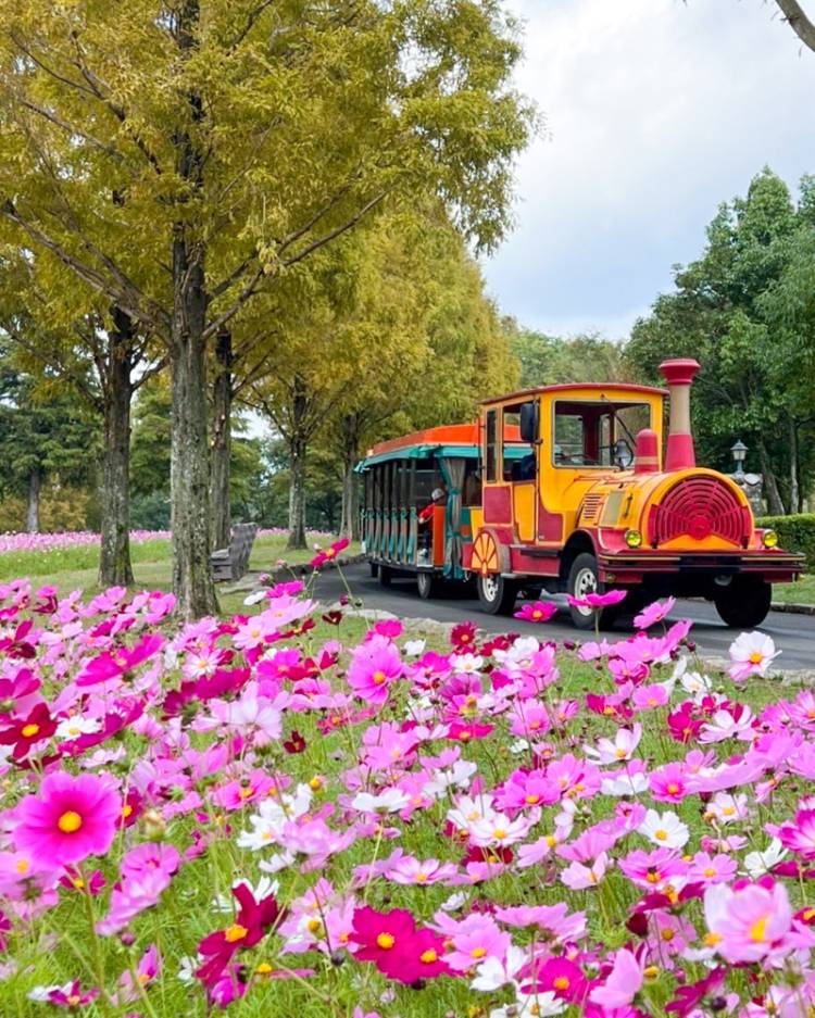 １０月になって初めての土曜日