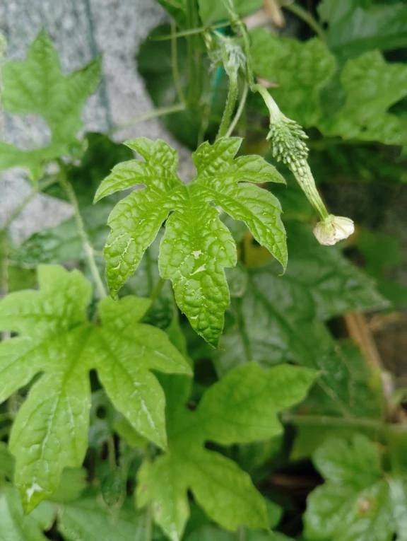 雨ですね☔☔