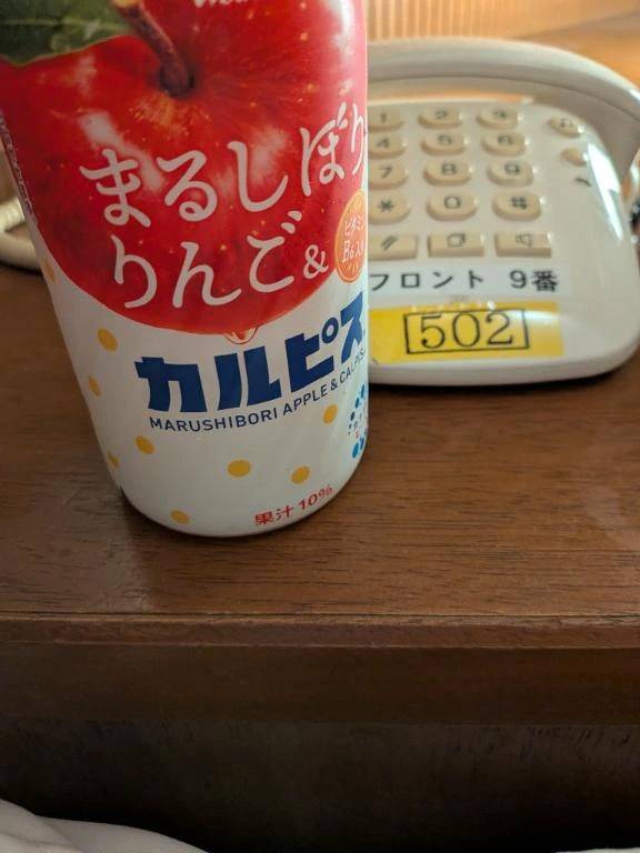 １７回目の再会。アラジン５０２様ありがとうございます。