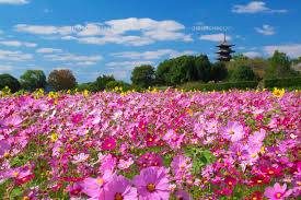 １０月になって初めての火曜日