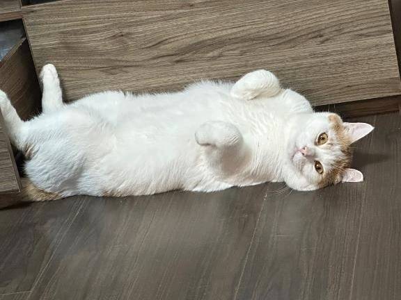 変更