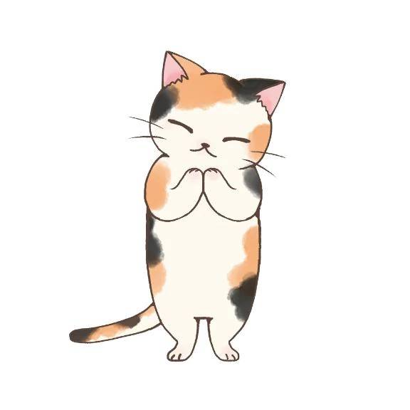 にゃお