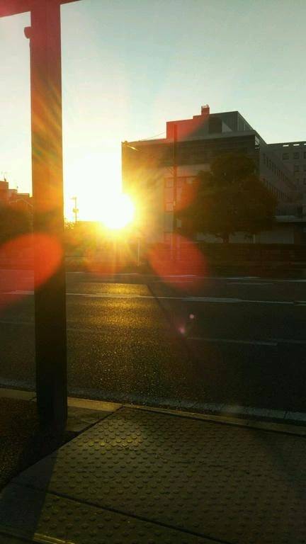 太陽🌄に照らされて