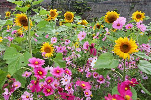 １０月になって２回目の火曜日