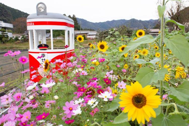 １０月になって３回目の木曜日