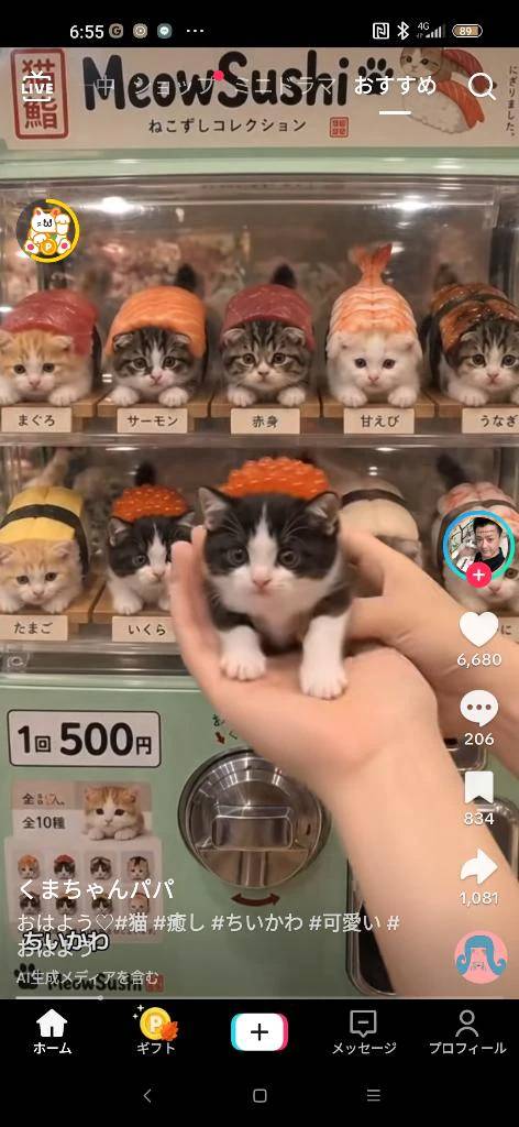 お昼だね。
