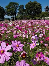 １０月になって３回目の月曜日