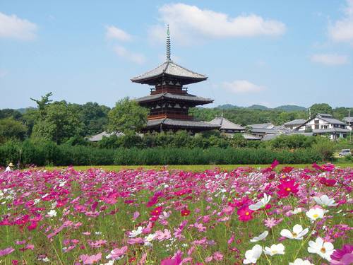 出勤の予定でしたが本日も、お休みさせていただきます