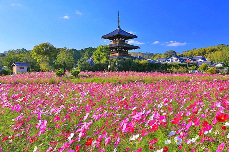 １０月になって４回目の金曜日