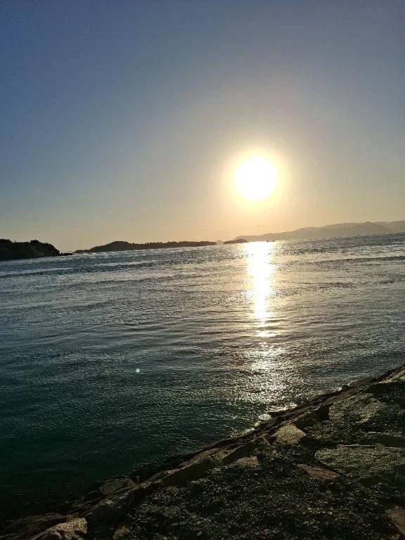 おはようございます☀
