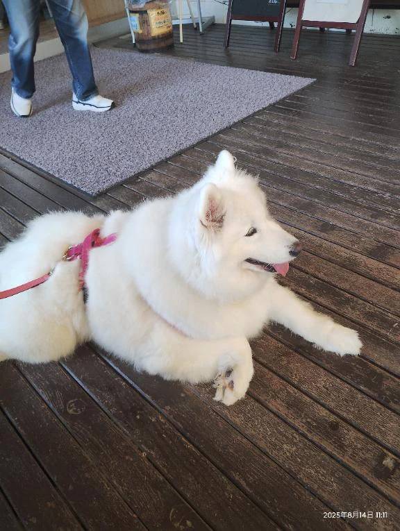 お昼だよ🩷