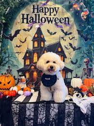 １０月３１日はハロウィン