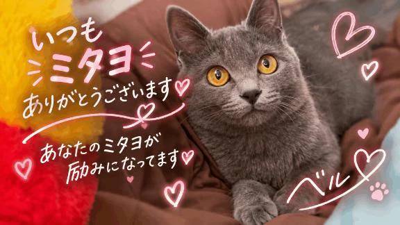 ‎🤍ミタヨありがとうございます‎🤍