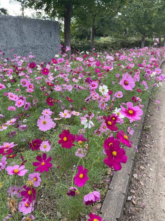 お礼🌸