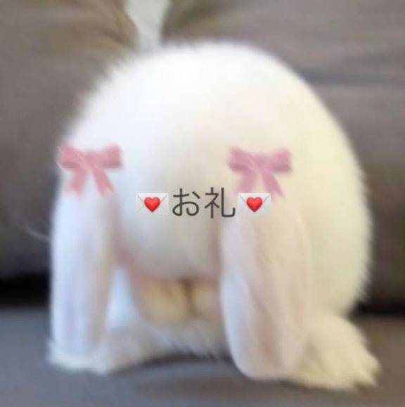 7/28 お礼?