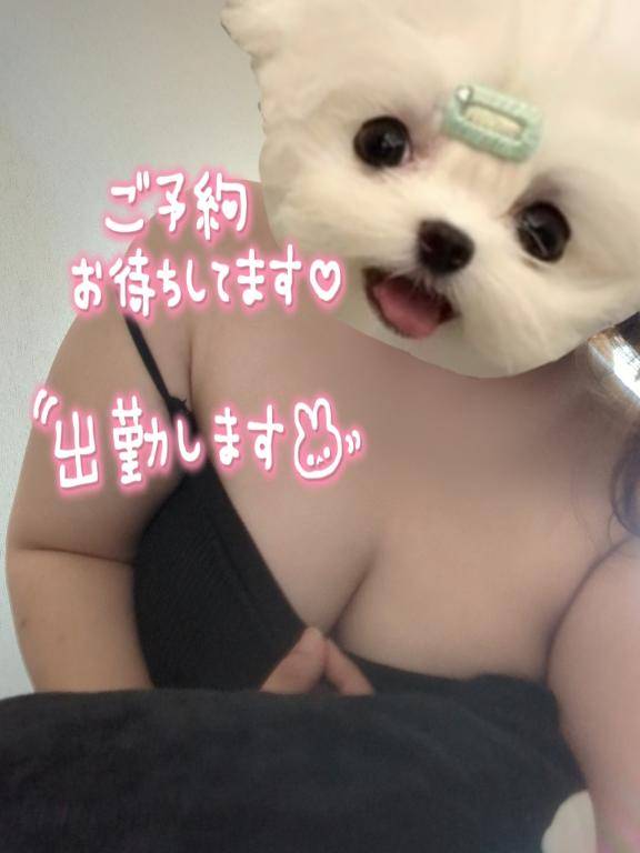 19時からラスト?