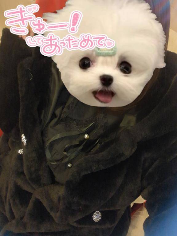 お仕事お疲れ様です?