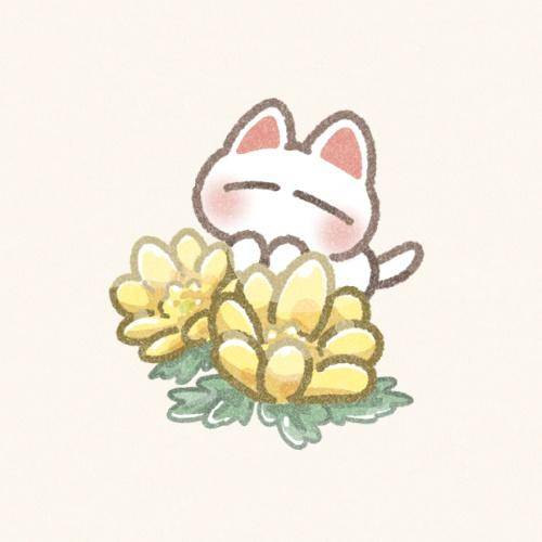 おはようございます(*^^*)