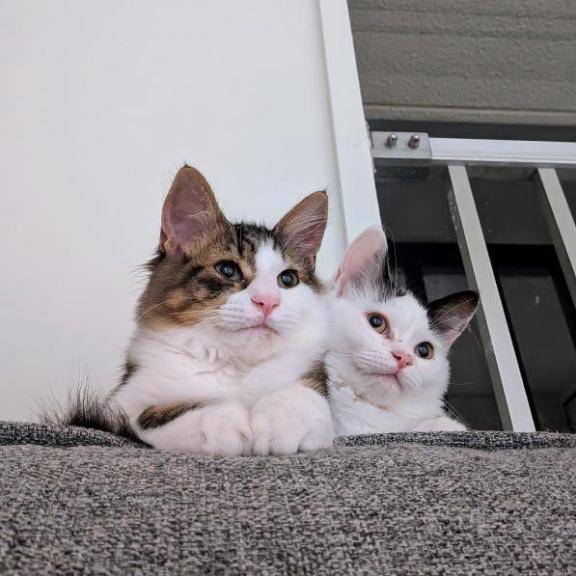 おはようございます?