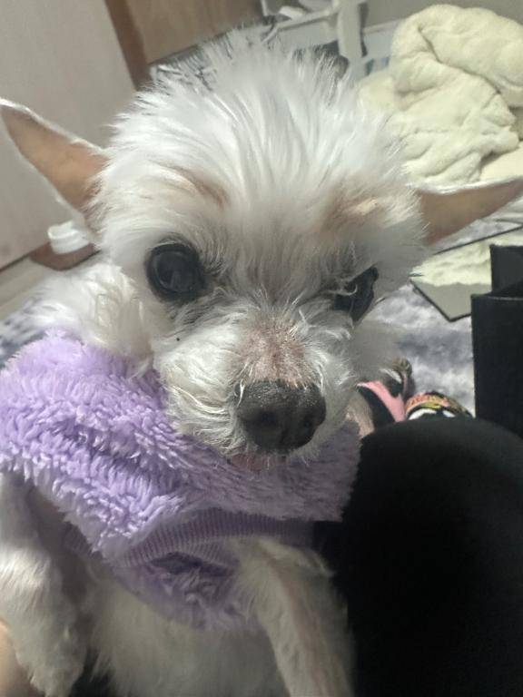 あい（ぽっちゃりプリンセス）