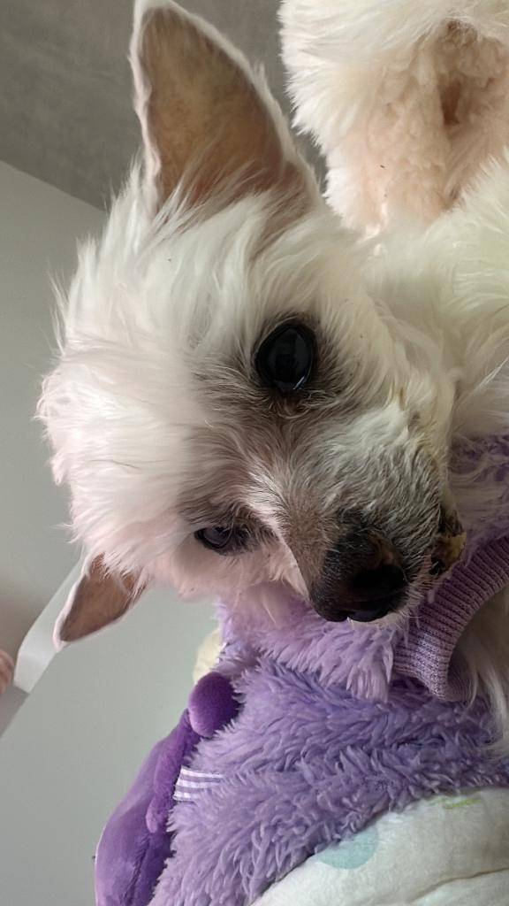 カメラ目線頂いた