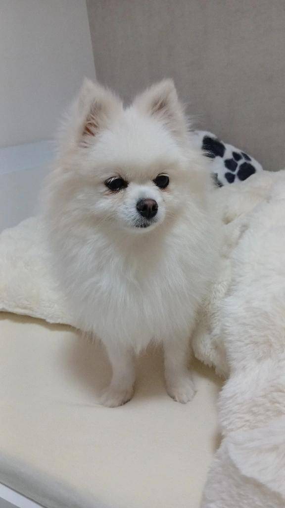 きょはお休みもらって