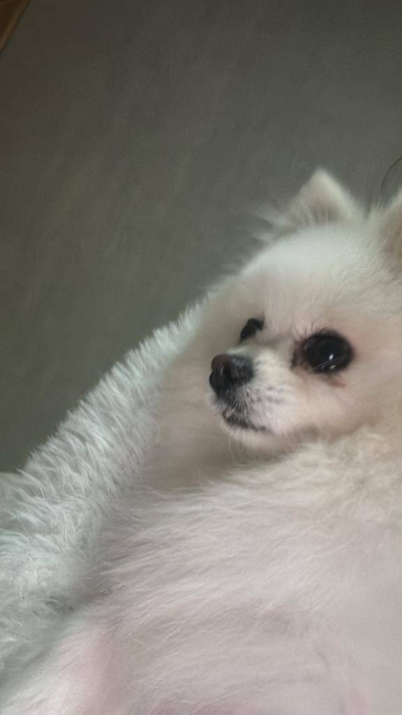 やってやったぜみたいな