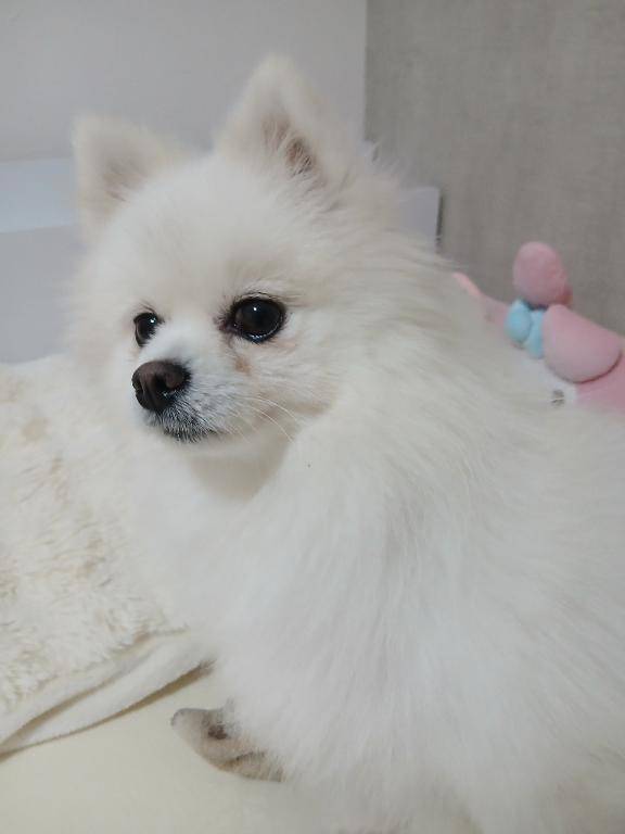 今日はお休みです?