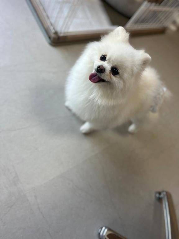 明日はお休み?*ﾟ
