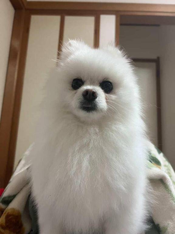 和歌山帰省してきマース??♀?