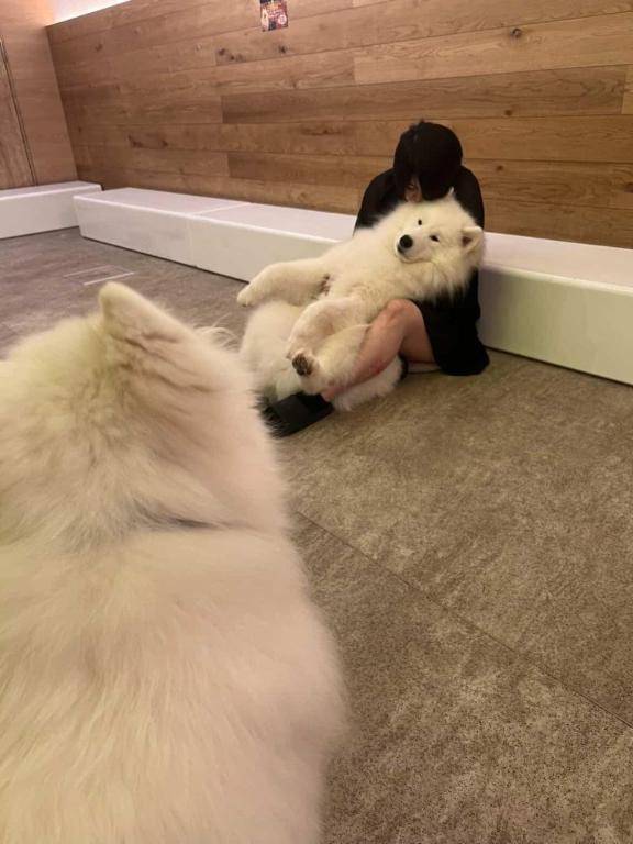 お仕事バックが??