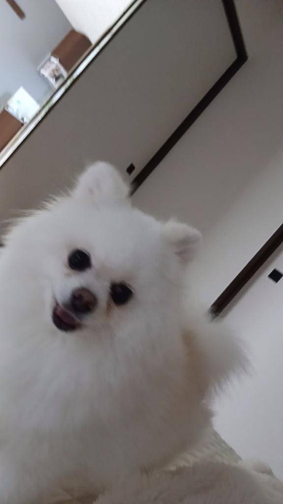 首寝違えた?