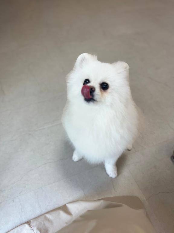 マヂでほんとに??