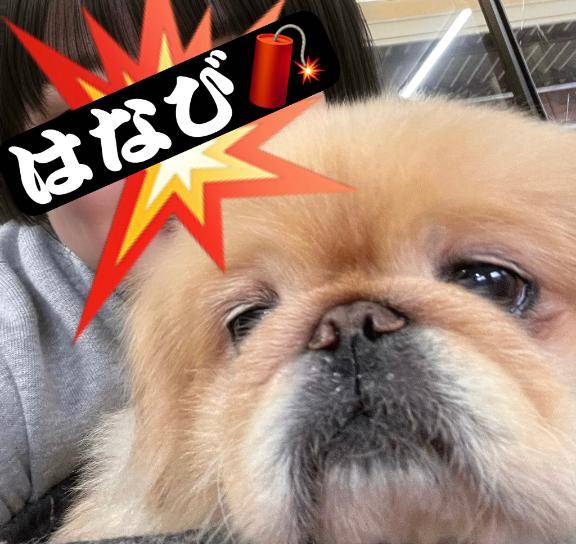 目に入れても痛くない??